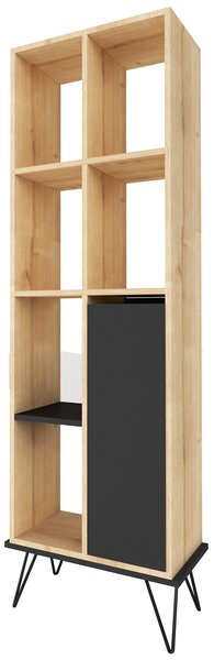 Biblioteca Alves stejar/negru