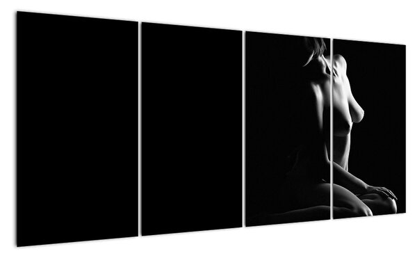 Tablou modern (160x80cm)