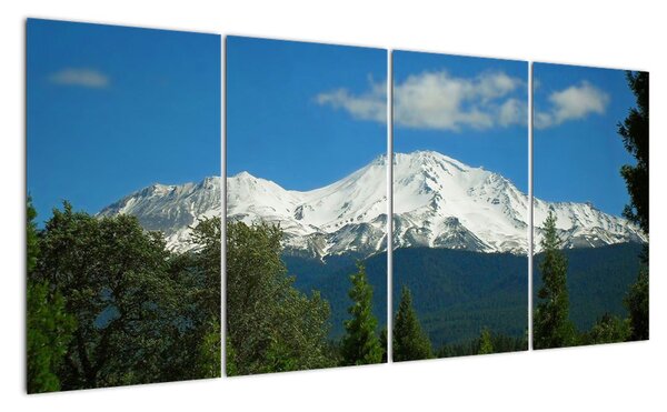 Tablou modern (160x80cm)