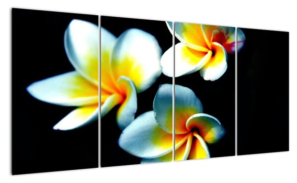 Tablou modern (160x80cm)