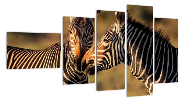 Tablou - zebre (110x60cm)
