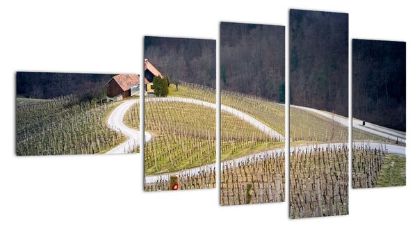 Tablou modern (110x60cm)