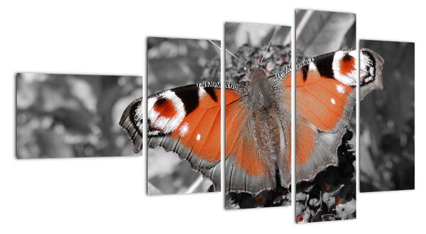 Tablou modern (110x60cm)