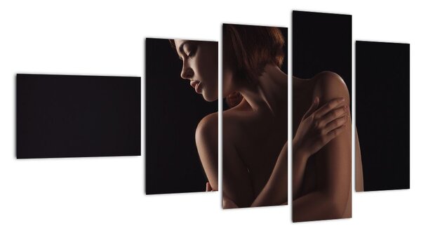 Tablou modern (110x60cm)