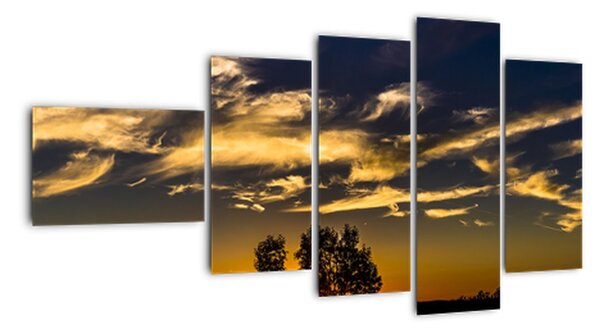 Tablou modern (110x60cm)
