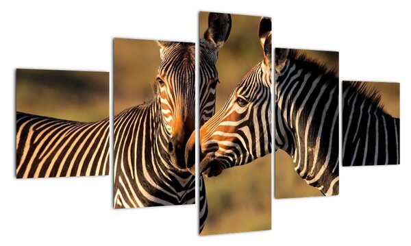 Tablou - zebre (125x70cm)