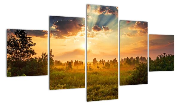 Tablou modern - natura (125x70cm)