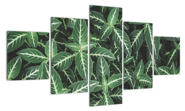 Tablou modern (125x70cm)