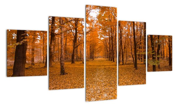 Tablou modern (125x70cm)