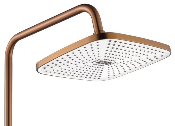 Set dus MY2021-77C REA ARGUS COPPER BRUSH
