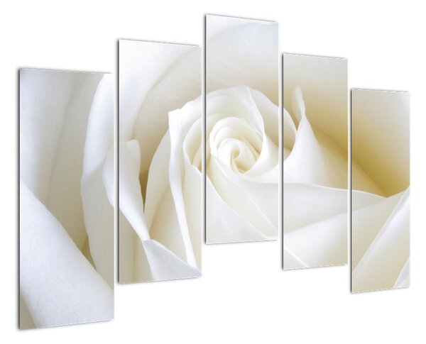 Tablou - trandafiri albi (125x90cm)