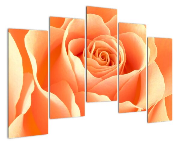 Tablou - trandafiri portocalii (125x90cm)