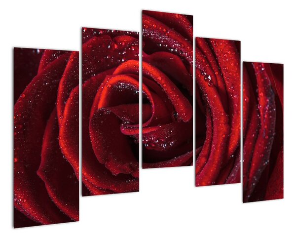 Tablou modern (125x90cm)