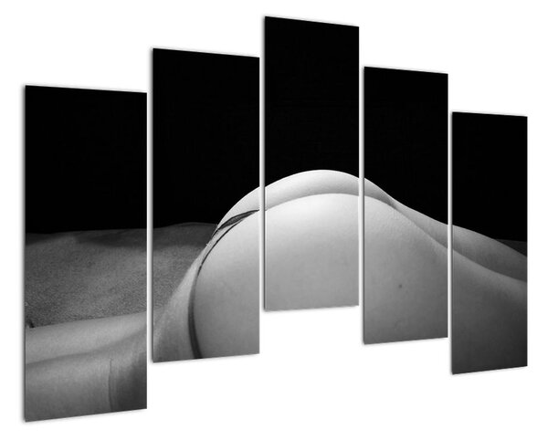 Tablou modern (125x90cm)