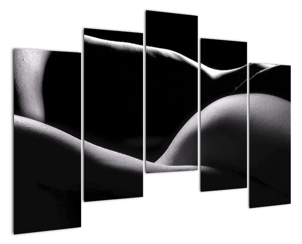 Tablou modern (125x90cm)