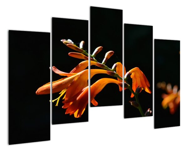 Tablou modern (125x90cm)