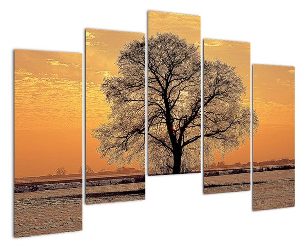 Tablou modern (125x90cm)