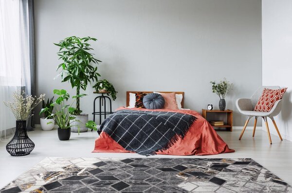 Covor gri 80x150 cm Soft – FD