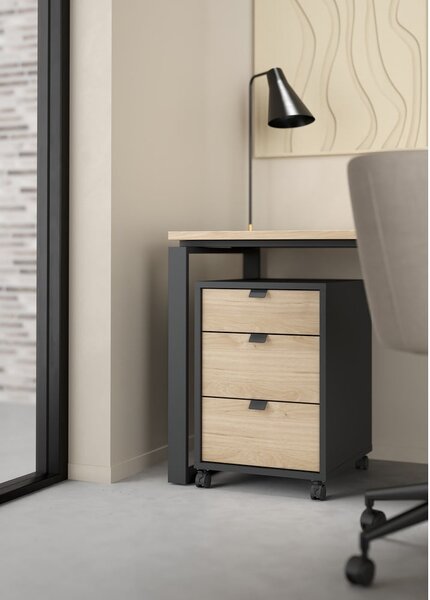 Dulap gri antracit/cu aspect de lemn de stejar 41x61 cm Sign – Tvilum