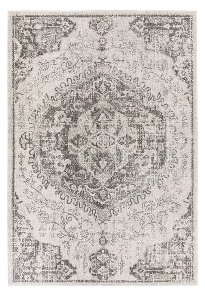 Covor gri/crem 160x230 cm Nova – Asiatic Carpets