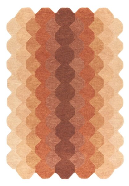 Covor cărămiziu din lână 160x230 cm Hive – Asiatic Carpets