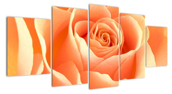 Tablou - trandafiri portocalii (150x70cm)