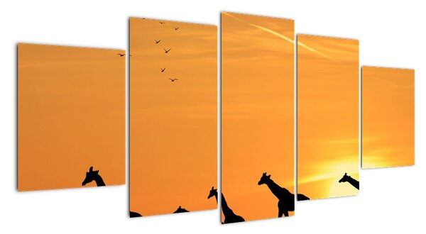 Tablou modern - girafe (150x70cm)