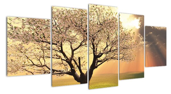 Tablou modern (150x70cm)