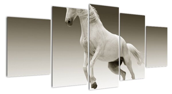 Tablou modern (150x70cm)