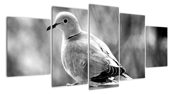 Tablou modern (150x70cm)