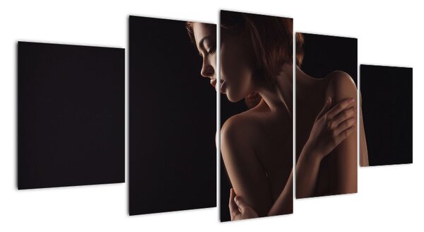 Tablou modern (150x70cm)