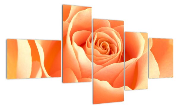 Tablou - trandafiri portocalii (150x85cm)