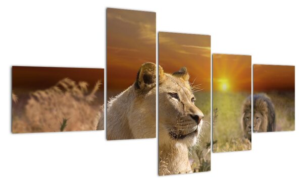 Tablou de animale (150x85cm)