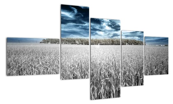 Tablou modern (150x85cm)