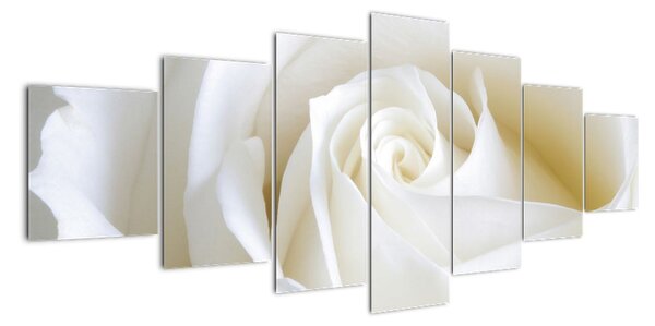 Tablou - trandafiri albi (210x100cm)