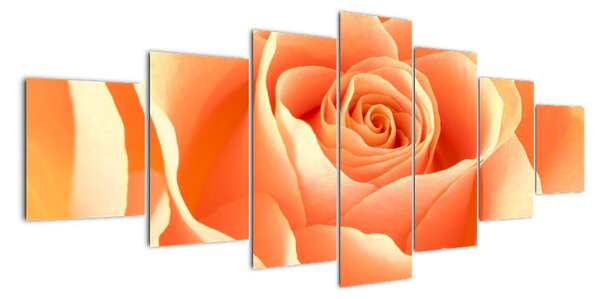 Tablou - trandafiri portocalii (210x100cm)