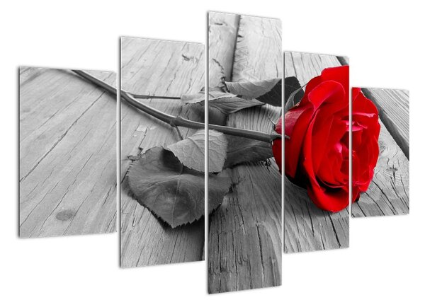 Tablou - trandafir cu flori ro?ii (150x105cm)