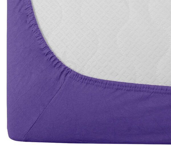 Cearsaf Jersey cu elastic 180 x 200 cm mov inchis