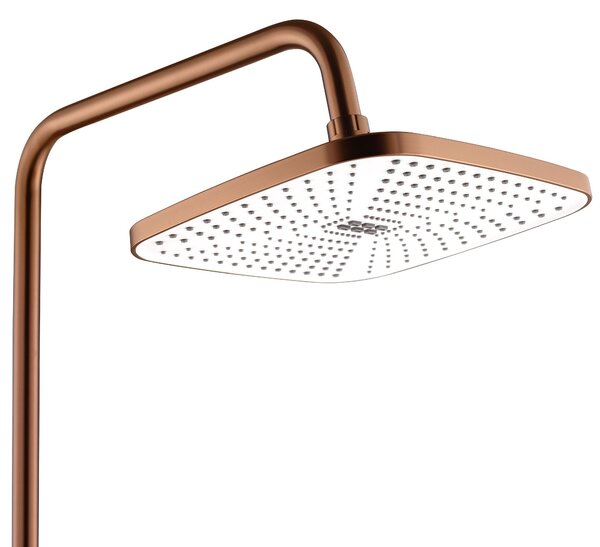 Set dus REA STORM COPPER BRUSH