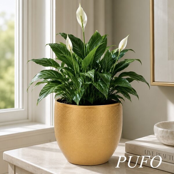 Ghiveci decorativ metalic Pufo Garden pentru flori, Ø 16 cm, auriu