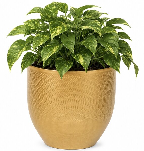 Ghiveci decorativ metalic Pufo Garden pentru flori, Ø 16 cm, auriu