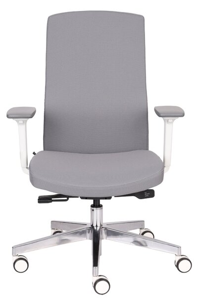 Scaun de birou Team Pro W Chrome