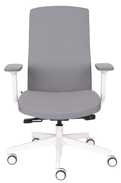 Scaun de birou Team Pro W White