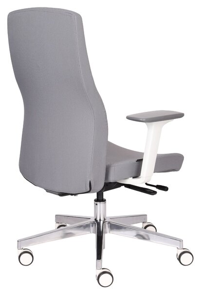 Scaun de birou Team Pro W Chrome