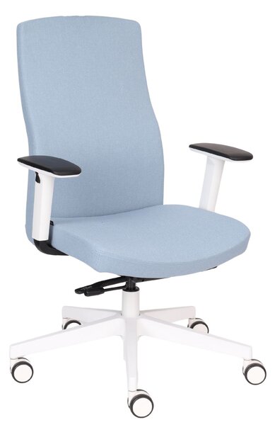 Scaun de birou Team Pro W White