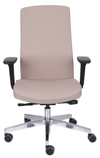 Scaun de birou Team Pro Chrome