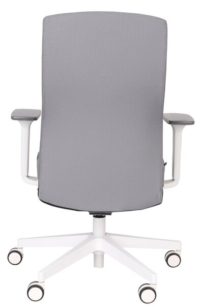 Scaun de birou Team Pro W White