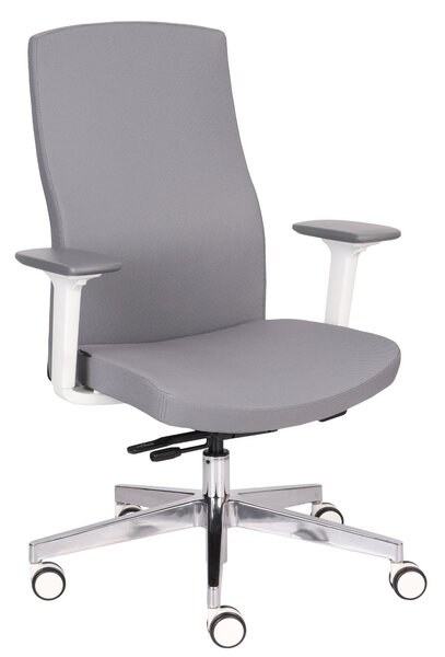 Scaun de birou Team Pro W Chrome