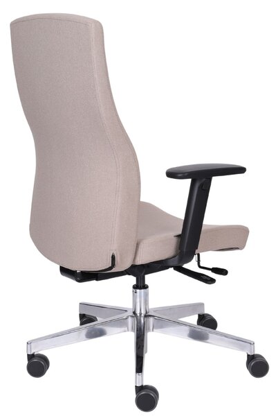 Scaun de birou Team Pro Chrome