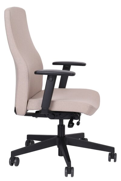 Scaun de birou Team Pro Black